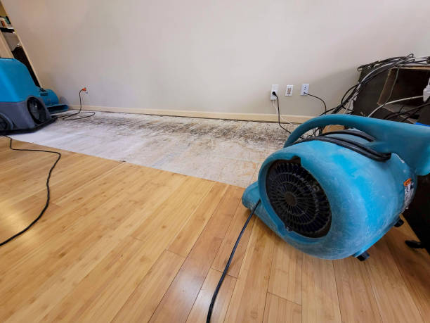 Professional Flood Damage Cleanup technician working in Enoree, SC